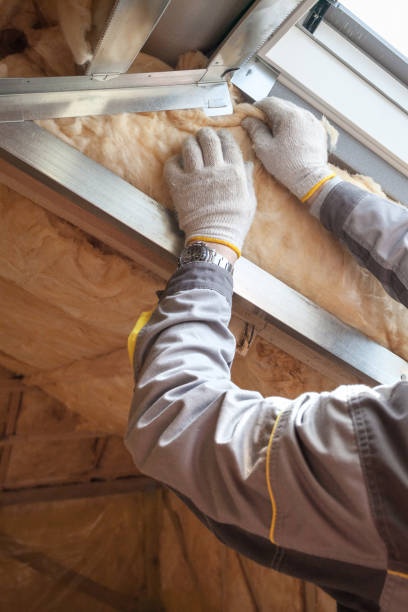 Best Professional Insulation Contractor  in Carnot Moon, PA