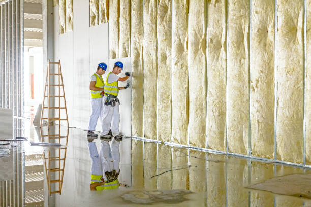 Best Insulation Removal  in Carnot Moon, PA